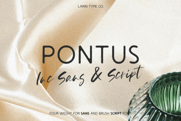 Pontus Typeface Review: Modern Typography for Digital Brands