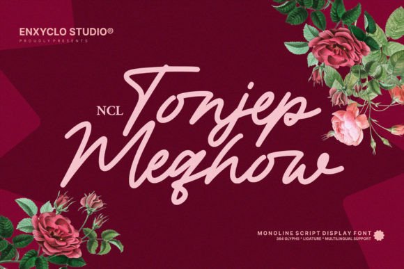 Tonjep Meqhow: Elevate Your Brand’s Visual Identity