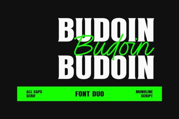 Upgrade Your Brand Identity With the Budoin Typeface